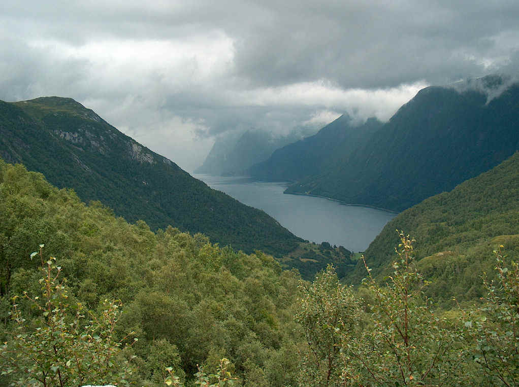 aamelfot.jpg (208652 bytes)