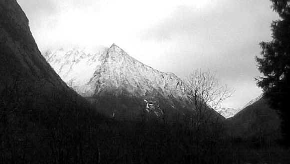 vassd.t.sv.2.jpg (66492 bytes)